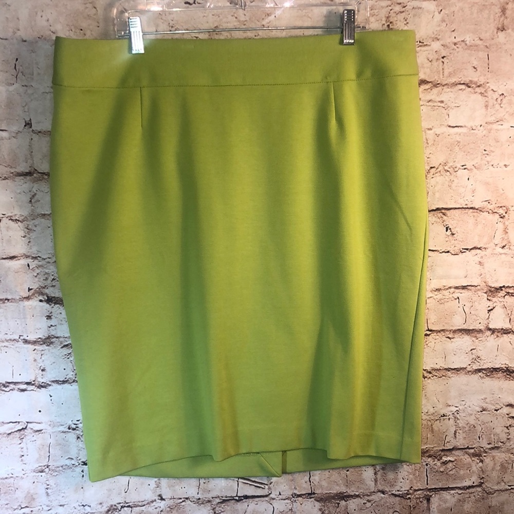 Lane Bryant Above the Knee Skirt